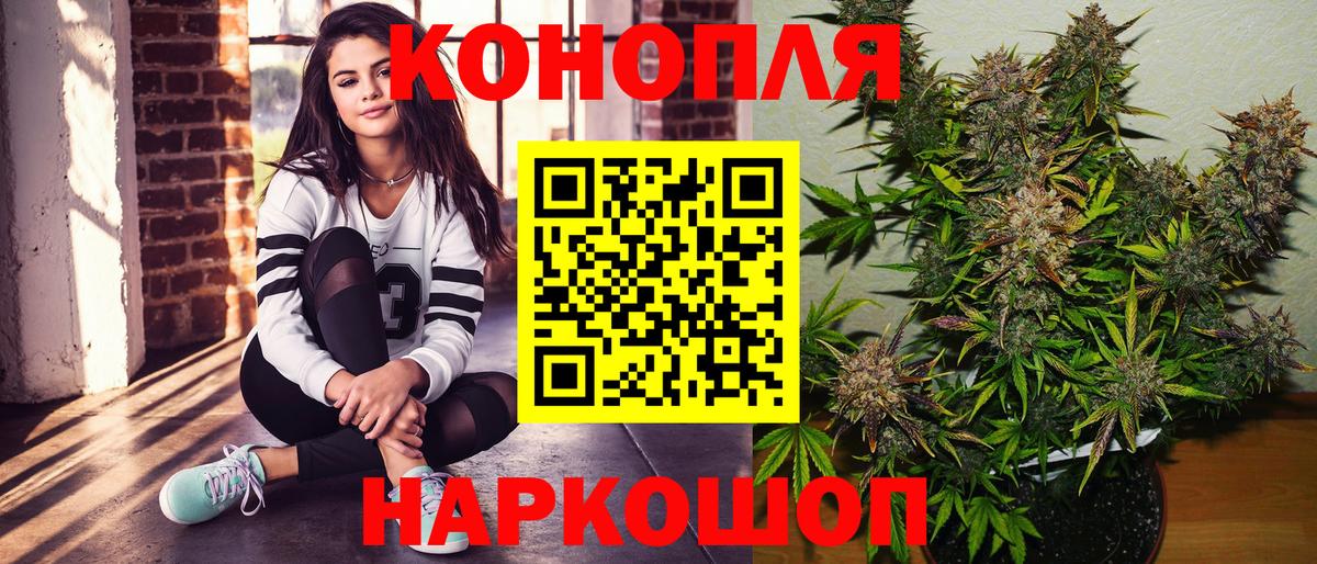 Гулькевичи  Бошки Шишки индика  Вход с VPN  Каннабис гибрид  Бошки Шишки план  Марихуана сатива 