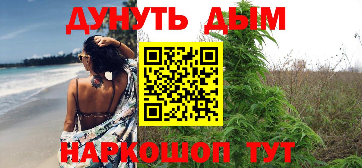 МАРИХУАНА сатива Гулькевичи